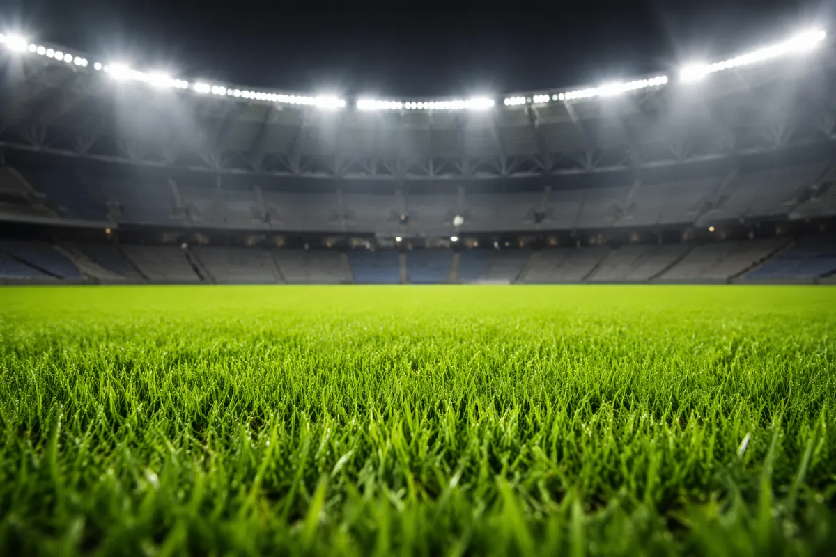 High-resolution sports news photo of well-maintained green football pitch turf under brigh