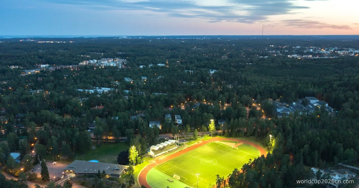 aerial photography of field