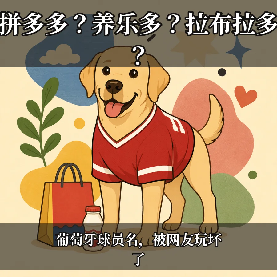 拼多多?养乐多?拉布拉多?表情包